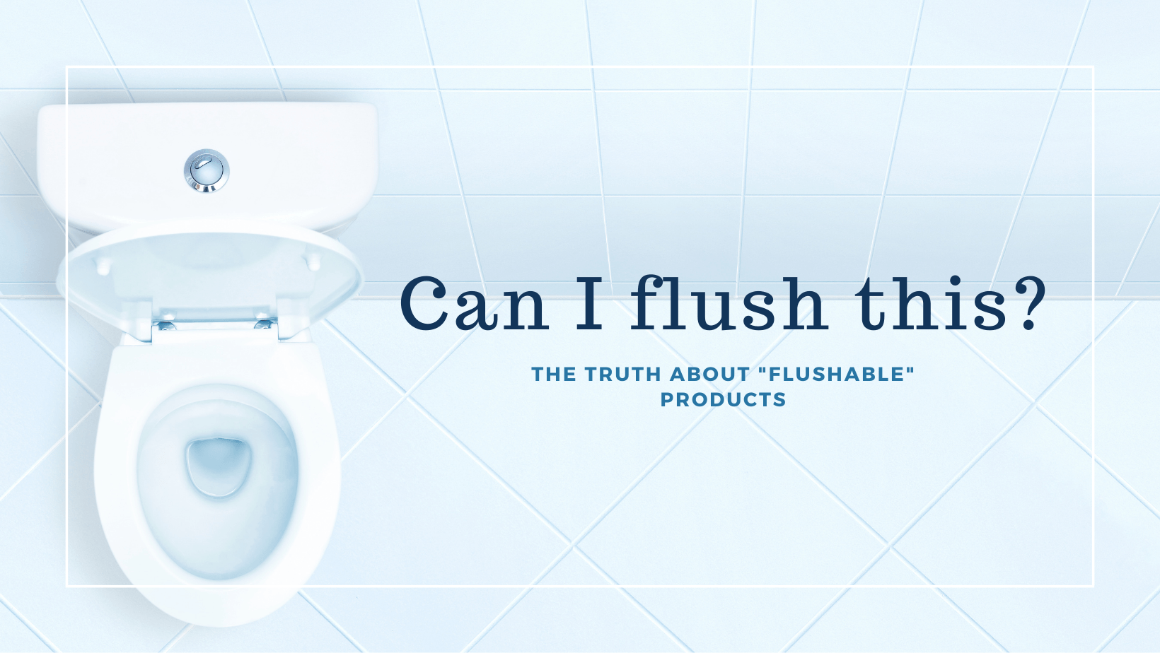 Can I flush this? The Truth About "Flushable" Products