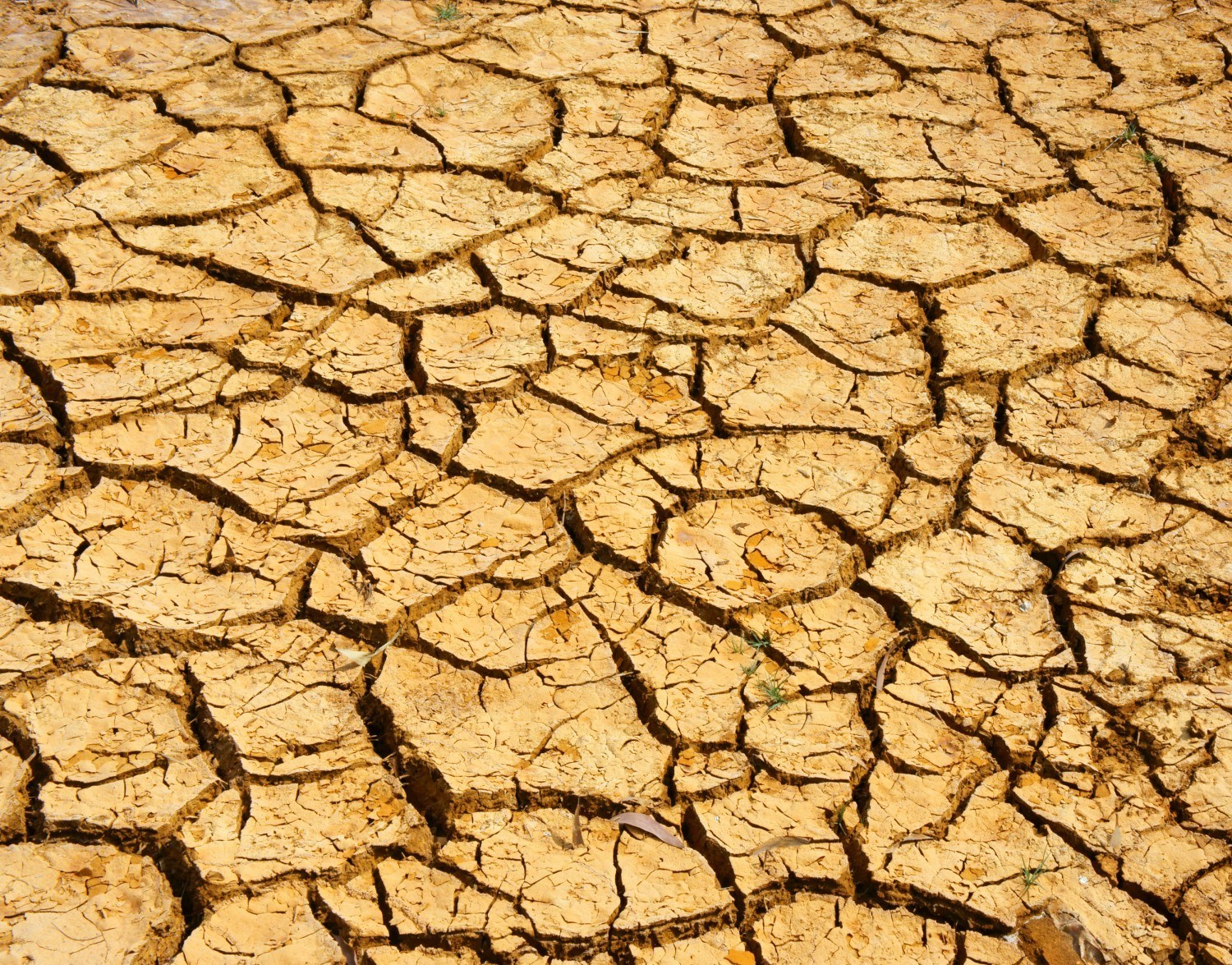 Beating Winter Dryness Indoors